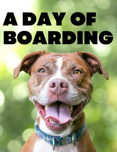 A Day of Boarding